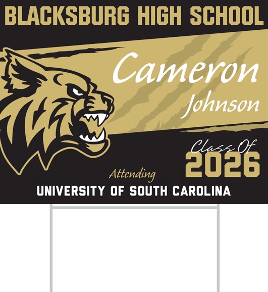 Blacksburg_24x18
