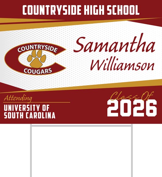 Countryside High School