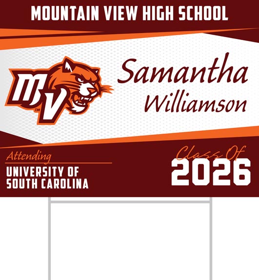 Mountain View High School